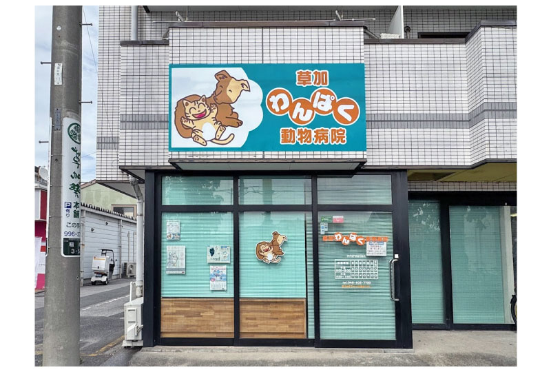草加の動物病院の新しくなった屋外看板