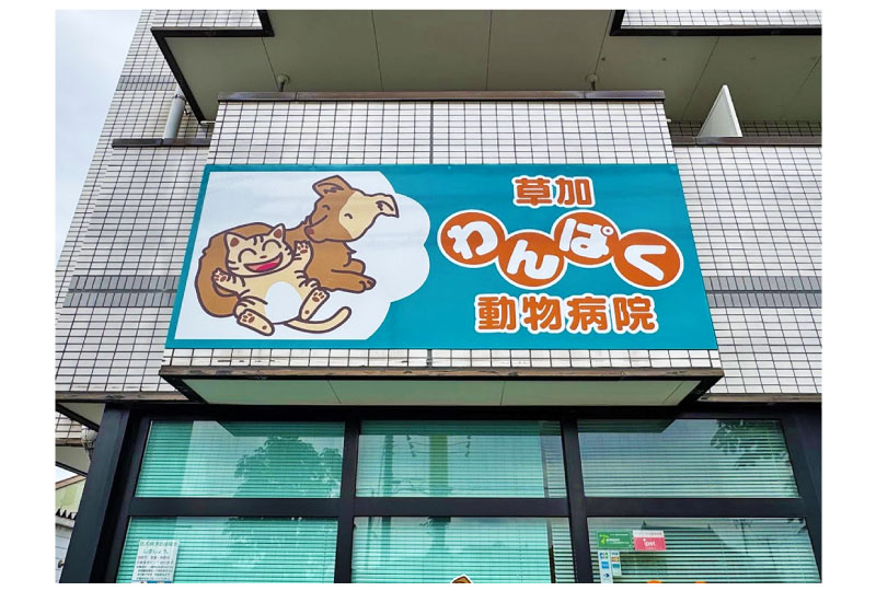 草加の動物病院の新しくなったパネル看板
